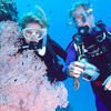 Underwater Photography Tips