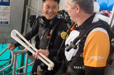 Queen's Baton Relay goes underwater for the first time in the Great Barrier Reef!