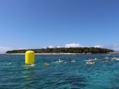 Great Adventures Green Island Ocean Swim