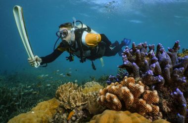 Queen's Baton Relay goes underwater for the first time in the Great Barrier Reef!