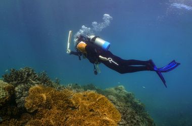 Queen's Baton Relay goes underwater for the first time in the Great Barrier Reef!