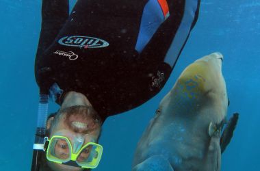 Master Reef Guides enhancing visitor experiences