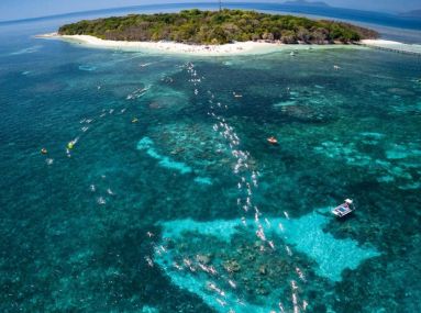 Great Adventures Green Island Ocean Swim