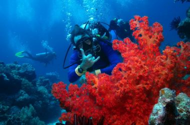 #Great Barrier Reef Today!