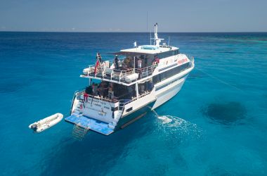 New Ribbon Reef minke whale trips with Pro Dive Cairns