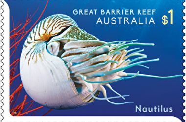 Australia Post launches Reef stamp collection at Agincourt Reef - Australia's most remote letterbox!