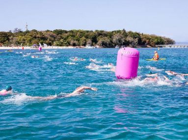 Great Adventures Green Island Ocean Swim