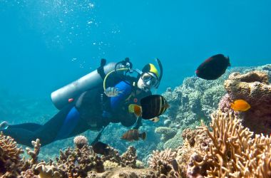 Ladies Day on Silverswift! Celebrating PADI Women's Dive Day