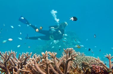 Ladies Day on Silverswift! Celebrating PADI Women's Dive Day