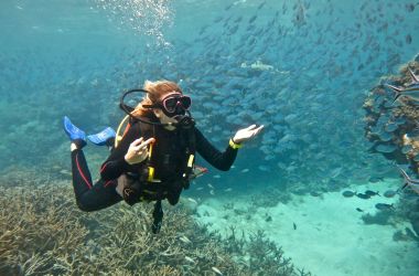 Ladies Day on Silverswift! Celebrating PADI Women's Dive Day