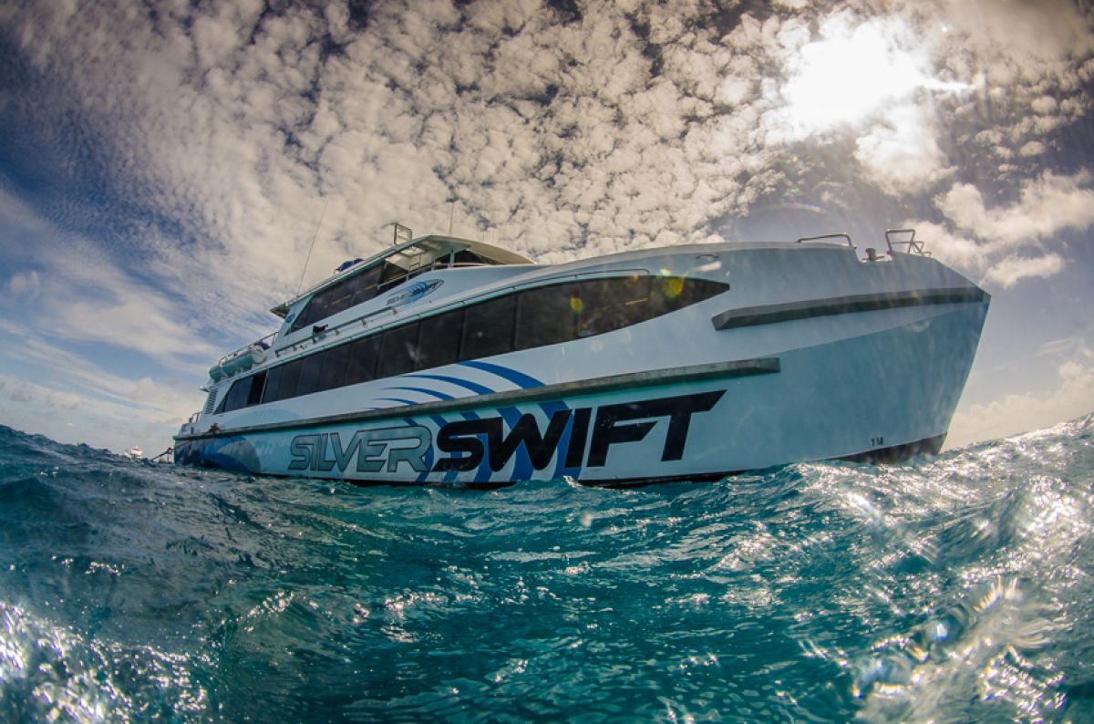 A fabulous day snorkelling and diving with Silverswift