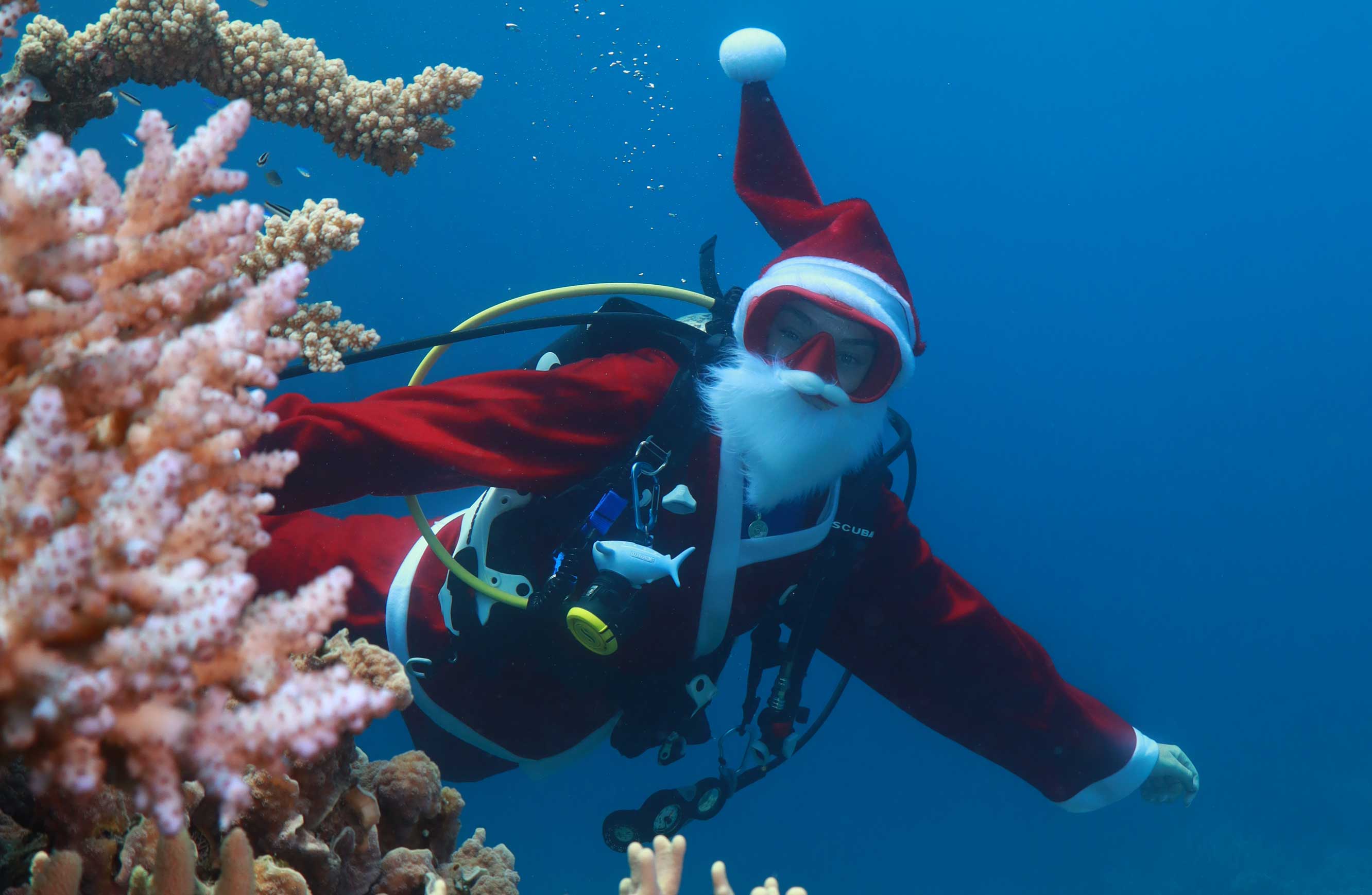 Quicksilver Newsletter #2, 2025 