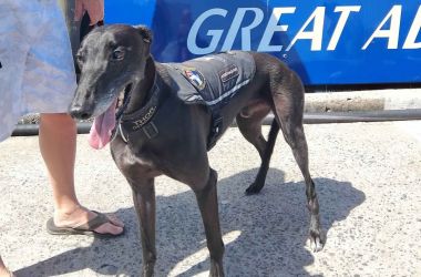 Thor goes to the Great Barrier Reef!
