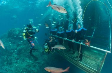 Dive the GBR - no swimming required!