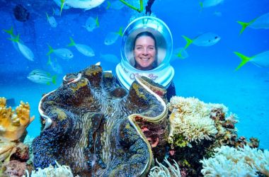 Dive the GBR - no swimming required!