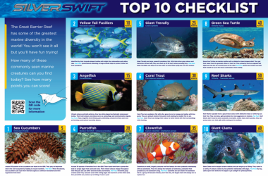 Challenging adventurers - Silverswift's Top 10 Checklist!