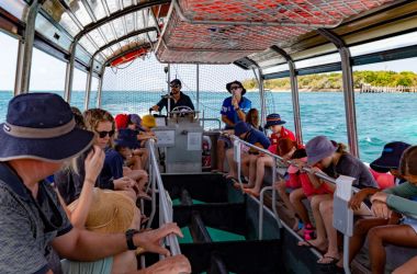 New Marine Biologist educational and sustainability activities