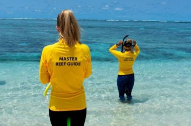 Meet our newest Master Reef Guides