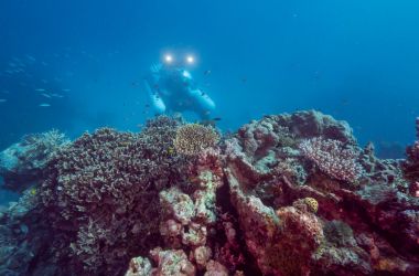 scUber - the world's first ride share submarine at Agincourt Reef!