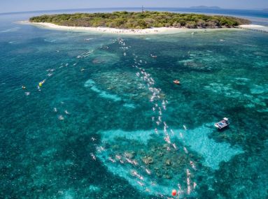 Great Adventures Green Island Ocean Swim