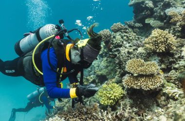 Reef Protection Initiative full steam ahead