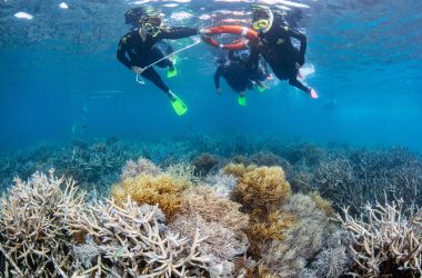 Creating Reef Ambassadors with Reef Biosearch Marine Biologists