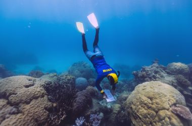 Reef Protection Initiative full steam ahead
