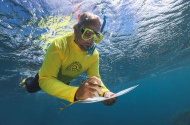 Tourism Reef Protection Initiative - TRIPI Update