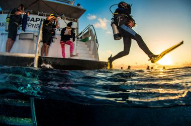 Pro Dive Cairns achieves an Australian dive industry first