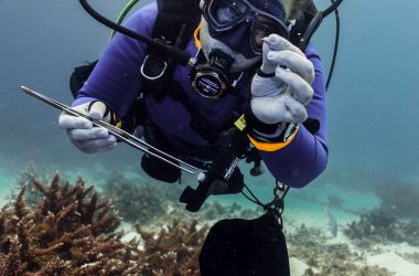 Tourism Reef Protection Initiative - TRIPI Update