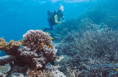 Tourism Reef Protection Initiative - TRIPI Update