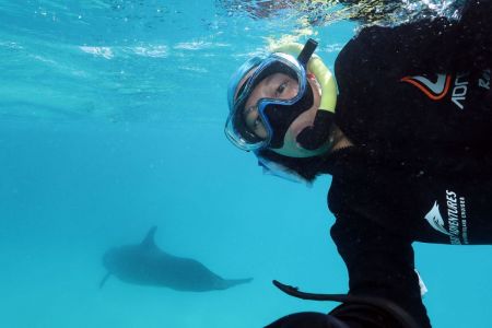 False Killer Whale by name - dolphin by nature!