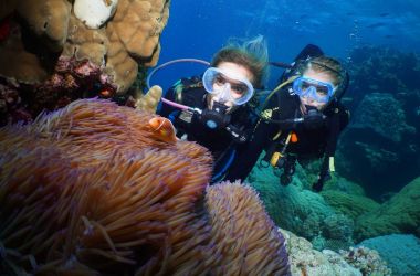 Private Guided Scuba Diving
